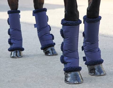 Horse boots - Travel