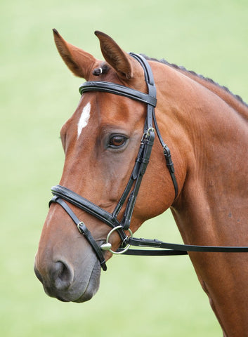 Bridles