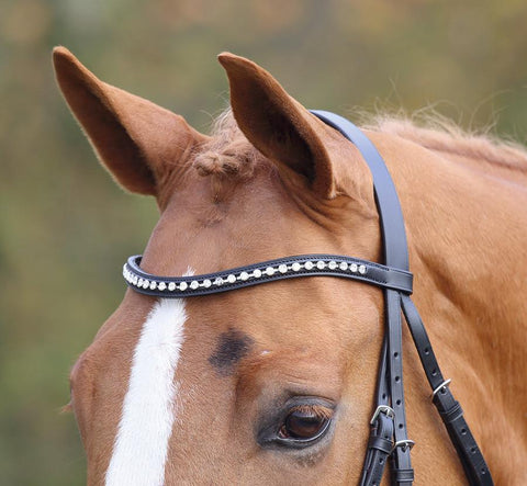 Browbands