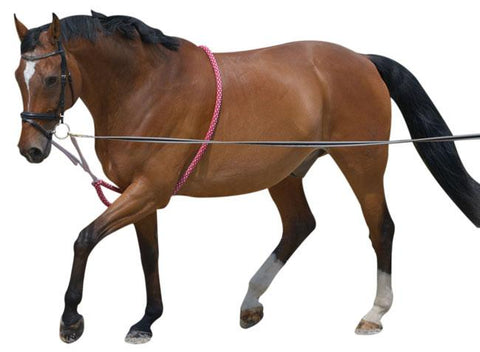 Lunging