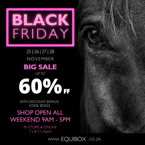 Black Friday 2022