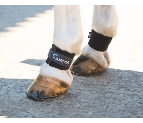 ARMA PASTERN WRAPS