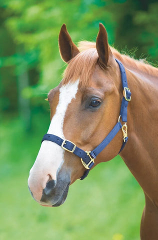 Shires Adjustable Headcollar