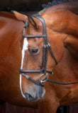 Velociti Padded Raised Flash Bridle