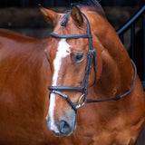 Velociti Padded Raised Flash Bridle