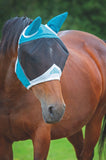 FlyGuard PRO Fine Mesh Fly Mask with Ears 60+% UV