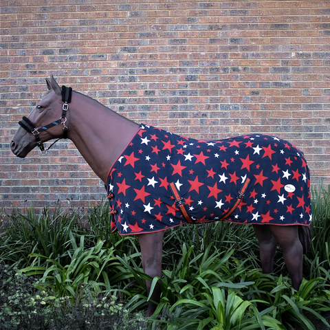 Fleece Blanket with Star Print