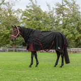 Rain Sheet & Neck Combo with Cotton Lining