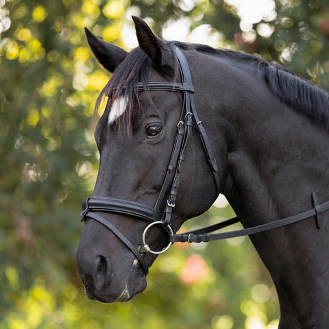Bridle Badminton