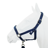 EquiStyle Padded Halter with Rope