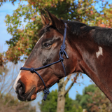 Knotted Rope Halter
