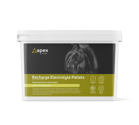 APEX Recharge Electrolyte Powder 2.5kg