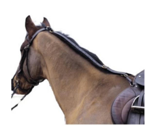 Grass Reins