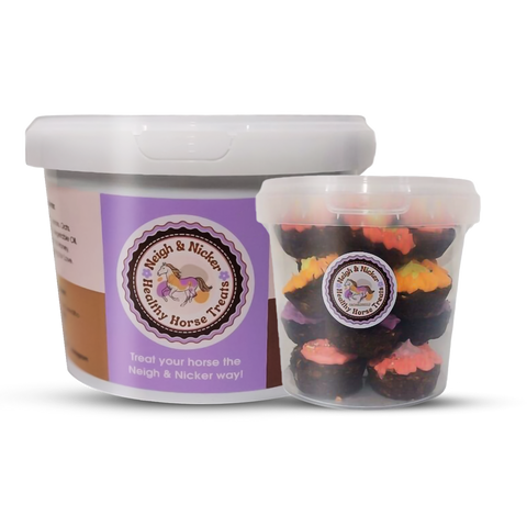 Neigh and Nicker Horse Treats - with Frosting