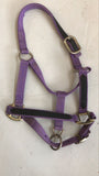 2nd Hand Headcollar/ Purple/ Pony