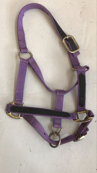 2nd Hand Headcollar/ Purple/ Pony