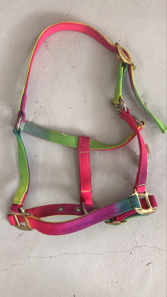 2nd Hand Rainbow Halter/ Pony