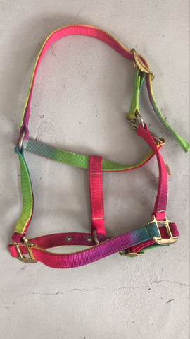 2nd Hand Rainbow Halter/ Pony