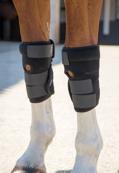 Replacement Ice pack for 2005