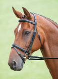 SALISBURY BODENHAM BRIDLE