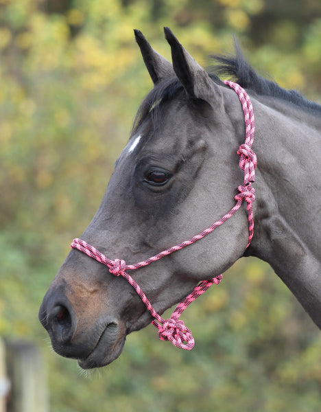 Rope Control Headcollar