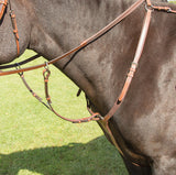 Avignon Breastplate