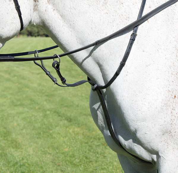 Avignon Running Martingale