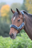 Fleece Lined Headcollar