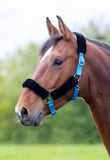 Fleece Lined Headcollar