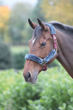 Fleece Lined Headcollar