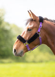 Fleece Lined Headcollar