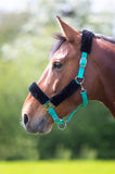 Fleece Lined Headcollar