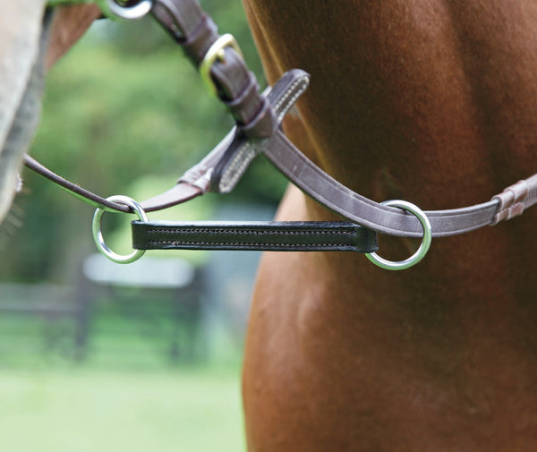 SALE BLENHEIM IRISH MARTINGALE