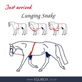 Lunging Snake
