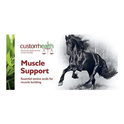 Custom Health Muscle Support for Horses