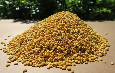 Honeyvale Herbs Fenugreek Seed 1kg