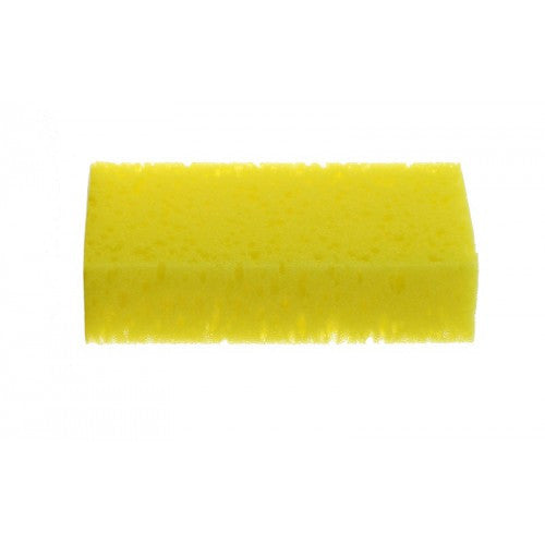 Medium Sponge