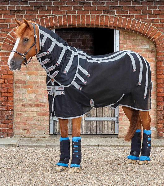 PRE ORDER Magni-Teque Magnet Horse Rug with Neck Cover