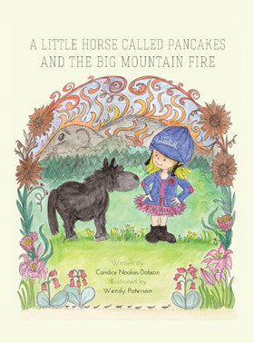 A little Horse called Pancakes & the big mountain Fire (Book 2)