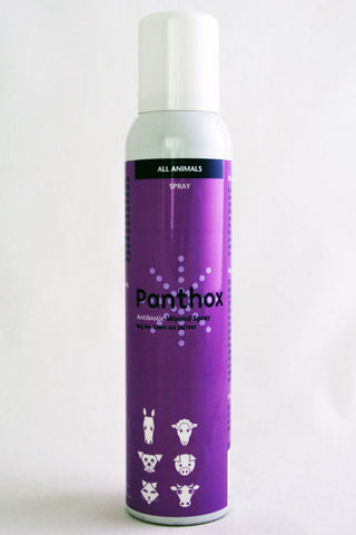 Panthox w/Gentian Violet Wound Spray 200ml