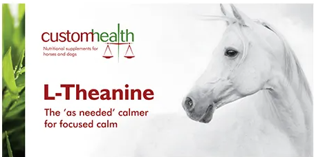 Custom Health L-Theanine for Horses