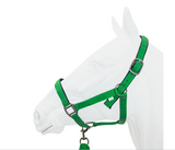 SALE Halter, Exim Padded with Lead
