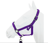 SALE Halter, Exim Padded with Lead
