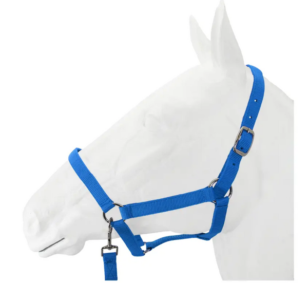 Equistyle Economy Halter with Lead