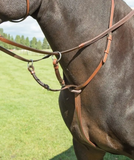 Avignon Running Martingale