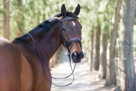 SALE - BSE Bridle Leather Padded - PONY ONLY