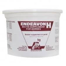 Endeavon Biotin / Vitamin H