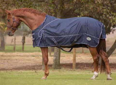 SALE Storm Buster Outdoor Duvet