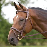 SALISBURY BODENHAM BRIDLE