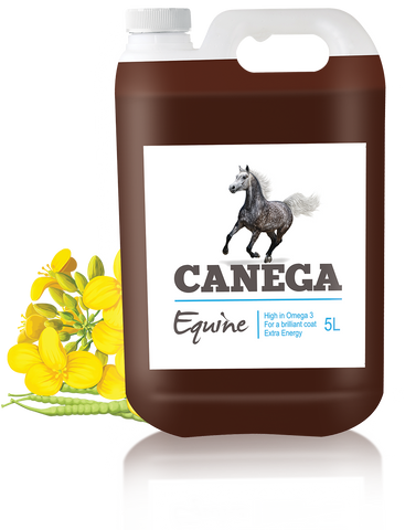 Canega Oil 5L